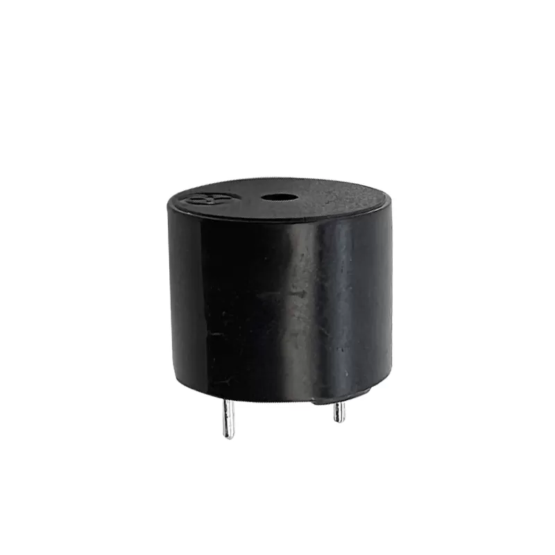 Externally driven magnetic buzzers：RHTCYT-12x09