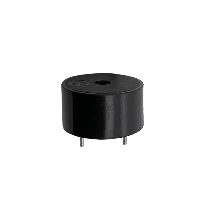 Piezo Transducer Buzzer：RHTCYT-12x06